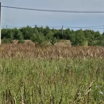 Участок в Московская область, Луховицы муниципальный округ, пос. ...