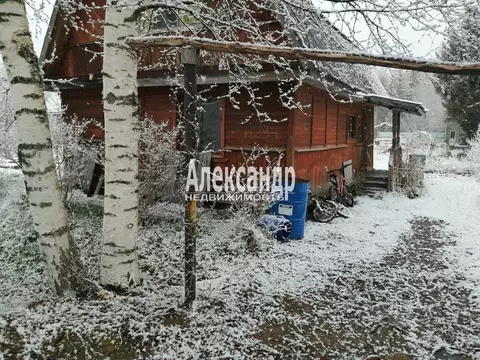 Дом в Ленинградская область, Лодейнопольский район, Янегское с/пос, ...