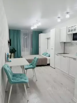 Студия Ленинградская область, Мурино Всеволожский район, ул. Шувалова, ...