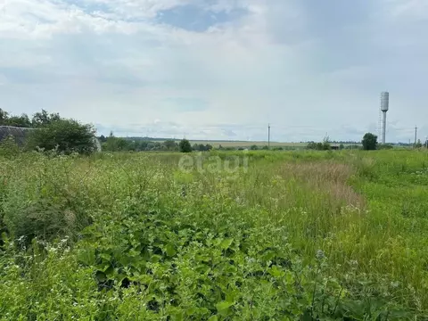 Участок в Брянская область, Выгоничский район, Кокинское с/пос, с. ...