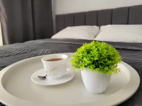 Студия Хакасия, Абакан ул. Арбан, 22 (39.0 м)