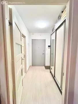 Квартира-студия: Санкт-Петербург, улица Тамбасова, 7 (26.7 м)
