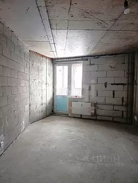 Студия Ленинградская область, Всеволожск ш. Дорога Жизни, 7к3 (23.0 м)