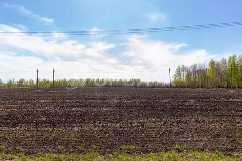 Участок в Тюменская область, Тюменский муниципальный округ, ...