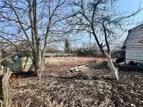 Участок в Брянская область, Брянский район, Снежское с/пос, с. ...