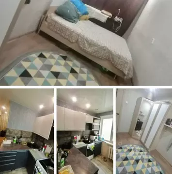 2-к кв. Новосибирская область, Новосибирск Ударная ул., 1/3 (48.0 м)