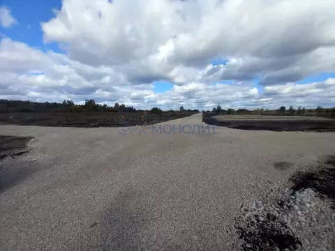 Участок в Нижегородская область, Богородский муниципальный округ, д. ...