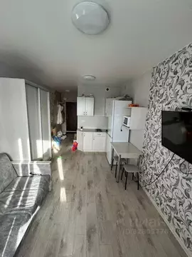 Студия Алтайский край, Барнаул Социалистический просп., 117 (18.0 м)