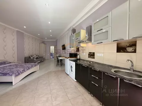 Студия Крым, Ялта муниципальный округ, Отрадное пгт ул. Отрадная, 29 ...