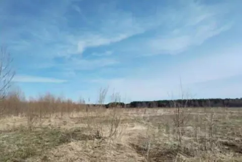 Участок в Московская область, Дмитровский муниципальный округ, д. ...