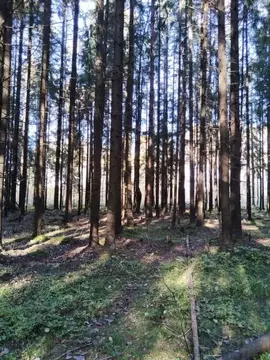 Участок в Ленинградская область, Всеволожск  (6.0 сот.)