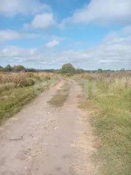 Участок в Брянская область, Брянский район, Мичуринское с/пос, д. ...