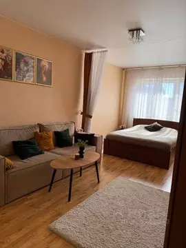 1-к кв. Московская область, Котельники ул. Строителей, 1 (49.0 м)