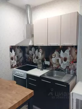 Студия Московская область, Звенигород Одинцовский городской округ, ...