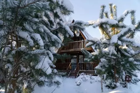 Дом в Тульская область, Ясногорский район, Иваньковское с/пос, Алино ...