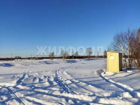 Участок в Новосибирская область, Новосибирский район, Криводановский ...