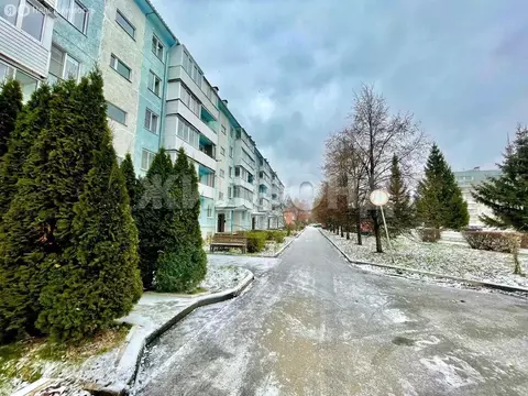 2-комнатная квартира: Белокуриха, улица Академика Мясникова, 18 (44.3 ...