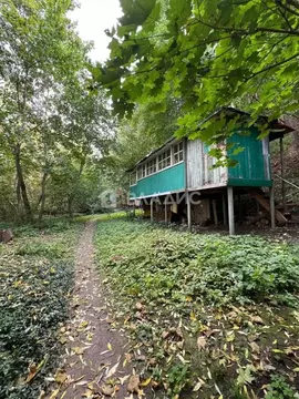 Дом в Воронежская область, Рамонский район, Горожанское с/пос, д. ...