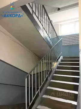 1-к кв. Алтайский край, Барнаул ул. Энтузиастов, 20 (13.1 м)