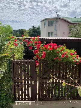 1-к кв. Крым, Ялта ул. Ломоносова, 13Б (23.0 м)