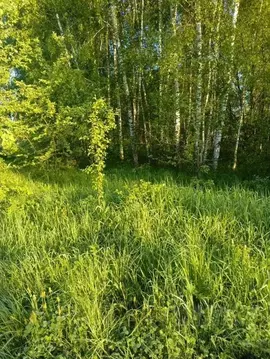 Участок в Московская область, Коломна городской округ, д. Малое ...