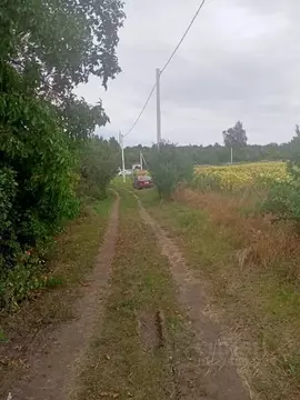 Участок в Белгородская область, Белгородский район, Стрелецкое с/пос, ...