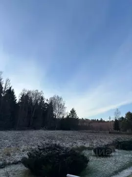Участок в Московская область, Ступино городской округ, с. Хатунь ул. ...