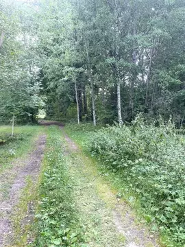 Участок в Псковская область, Гдовский район, Юшкинская волость, д. ...