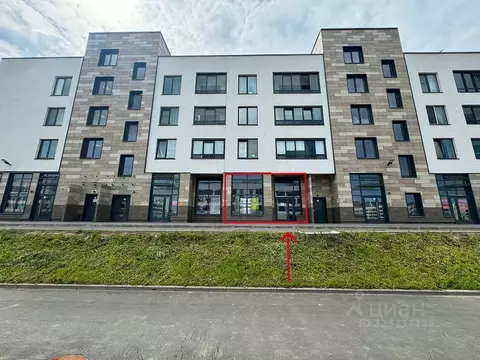 Помещение свободного назначения в Санкт-Петербург ул. Ивана Куликова, ...