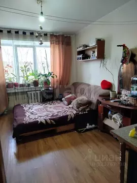 Комната Новосибирская область, Бердск Боровая ул., 100 (18.8 м)