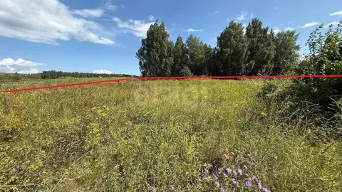 Участок в Башкортостан, Бирский район, Сусловский сельсовет, с. ...