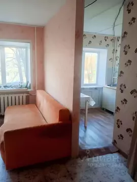1-к кв. Пермский край, Пермь ул. Генерала Панфилова, 16 (30.0 м)