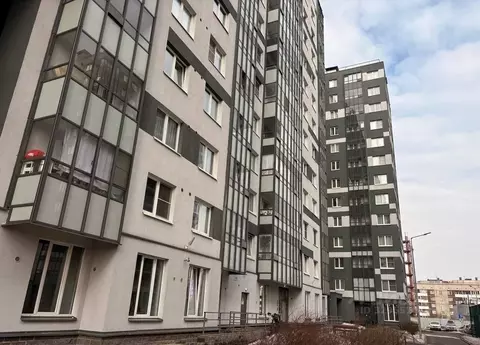 Помещение свободного назначения в Санкт-Петербург Пискаревский просп., ...