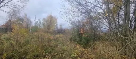 Участок в Московская область, Серпухов городской округ, д. Мещериново  ...