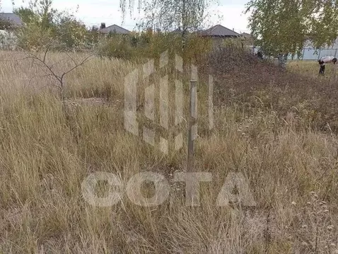 Участок в Воронежская область, Новоусманский район, Усманское 1-е ...