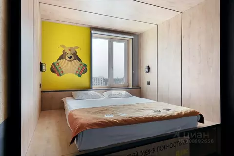 Студия Санкт-Петербург Большой Сампсониевский просп., 74к2 (17.0 м)