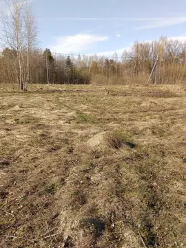 Участок в Московская область, Электросталь городской округ, д. Есино  ...