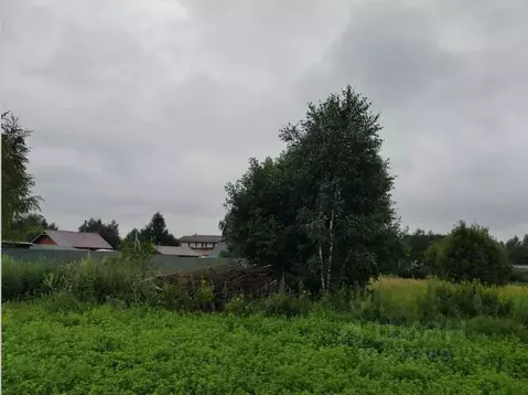 Участок в Московская область, Чехов муниципальный округ, д. Любучаны  ...