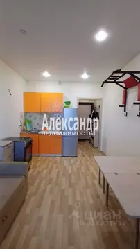 Студия Ленинградская область, Мурино Всеволожский район, бул. ...