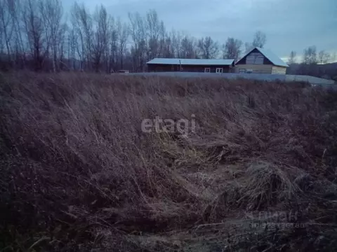 Участок в Алтайский край, Алтайский район, Айский сельсовет, с. Ая ул. ...