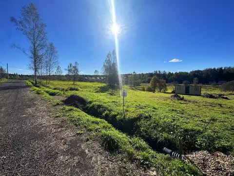 Участок в Московская область, Дмитровский муниципальный округ, Форест ...