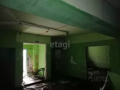 Помещение свободного назначения в Амурская область, с. Тамбовка ул. ...