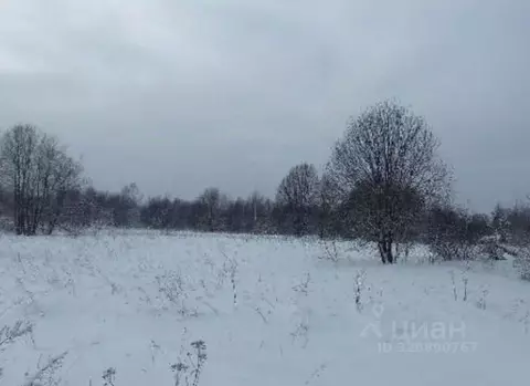 Участок в Московская область, Дмитровский муниципальный округ, д. ...