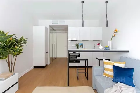 Студия Москва Автозаводская ул., 23Бк2 (22.0 м)