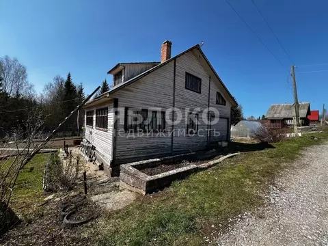 Дом в Пермский край, Березники № 107 СТ, 41 (54 м)