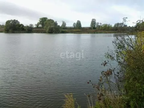 Участок в Брянская область, Карачевский район, Вельяминовское с/пос, ...