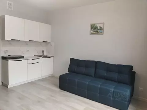 Студия Пермский край, Пермь Кузнецкая ул., 43В (23.0 м)