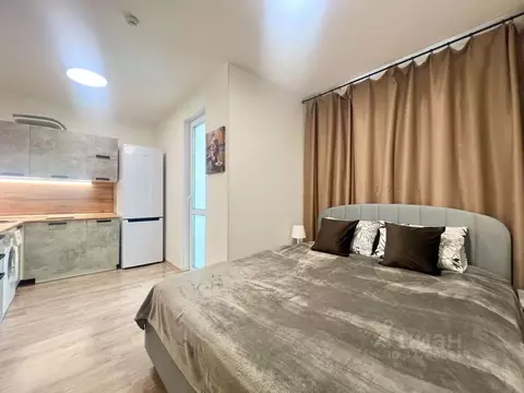 Студия Санкт-Петербург дор. Муринская, 10к1 (20.8 м)