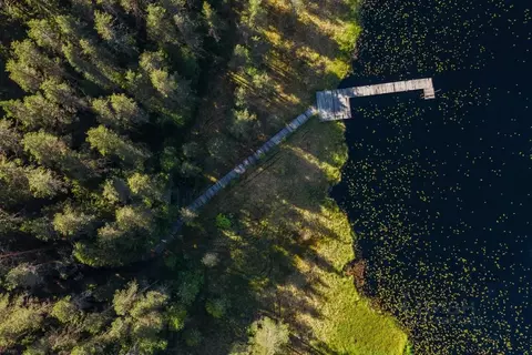 Участок в Ленинградская область, Выборгский район, Первомайское с/пос, ...