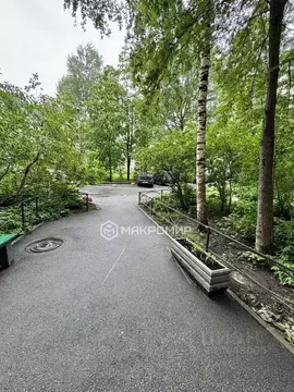 2-к кв. Санкт-Петербург Ириновский просп., 31 (51.0 м)